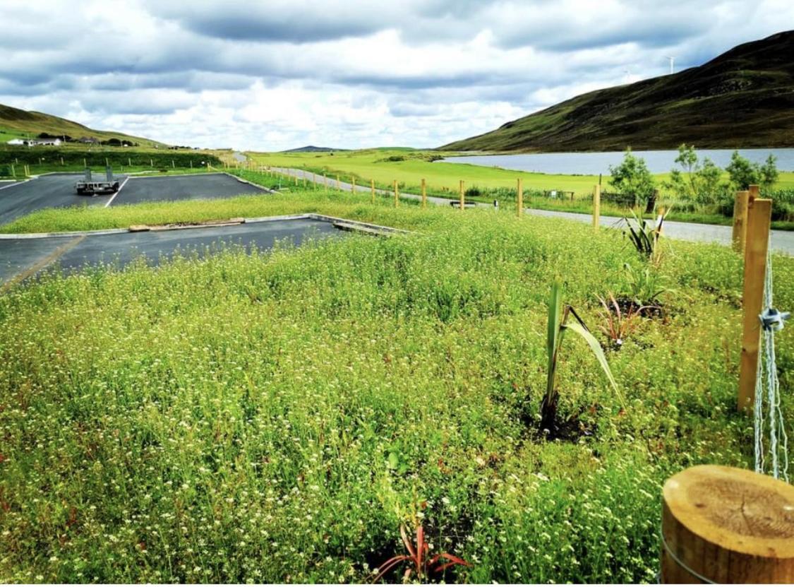Scalloway Caravan Park Buitenkant foto